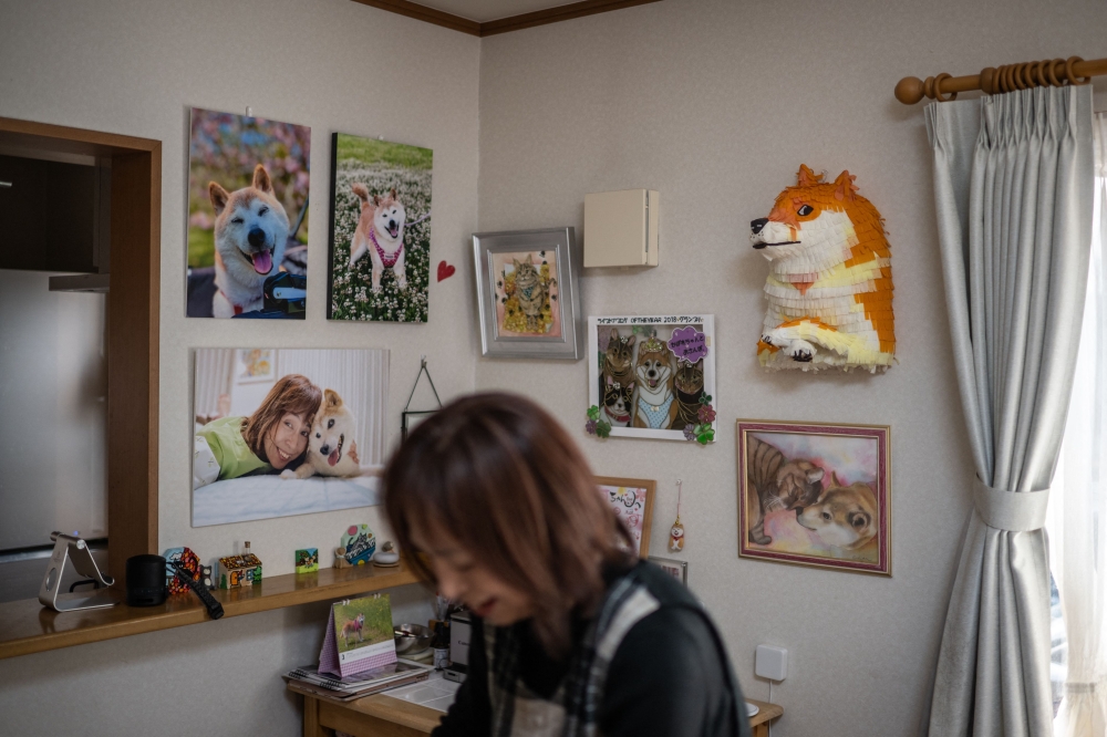 This picture taken on March 19, 2024 shows pictures and products of Japanese shiba inu dog Kabosu, best known as the logo of cryptocurrency Dogecoin, on display at the home of her owner Atsuko Sato in the city of Sakura, Chiba prefecture, east of Tokyo. — eNM pic