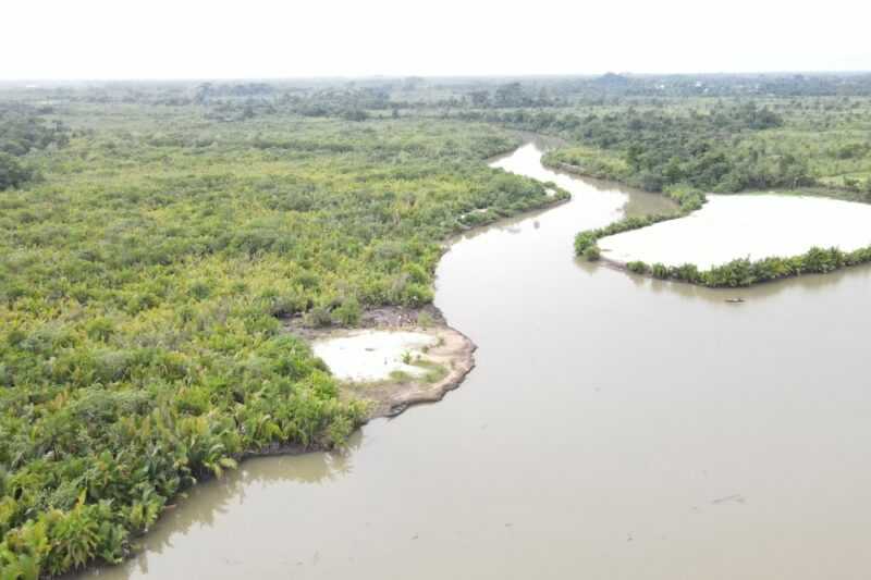 This aerial view shows mangrove and nipa palm tree forest along a river in Kono village in Nigeria June 11, 2024. — eNM pic